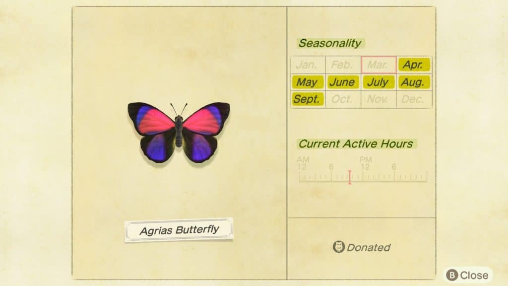 Aragrias butterfly Animal Crossing New Horizons ACNH