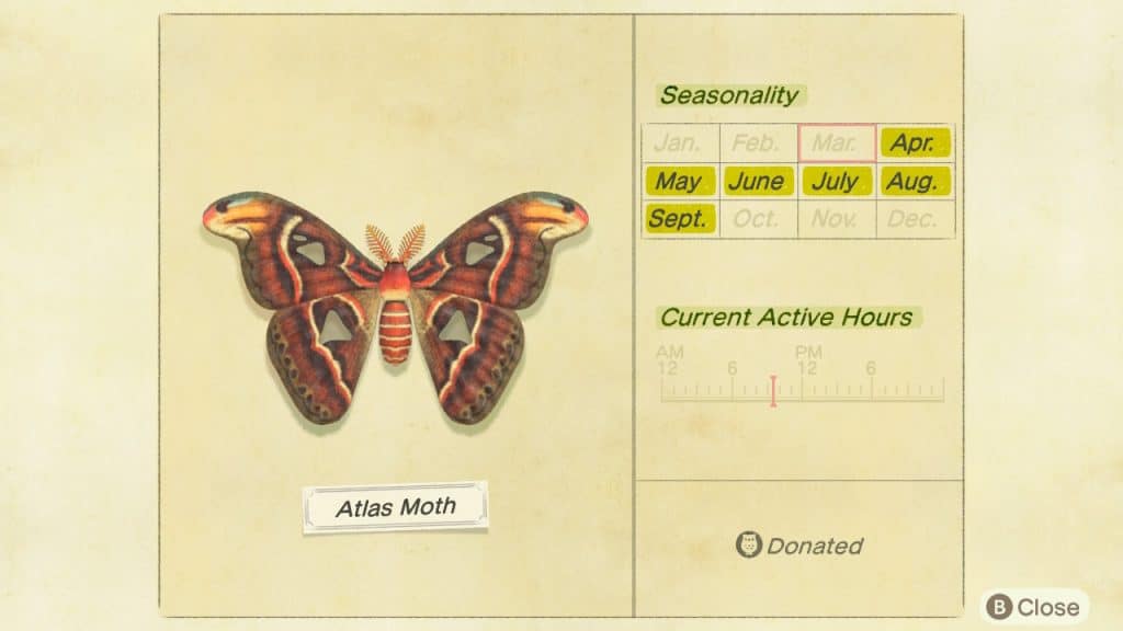 Atlas moth Animal Crossing New Horizons ACNH