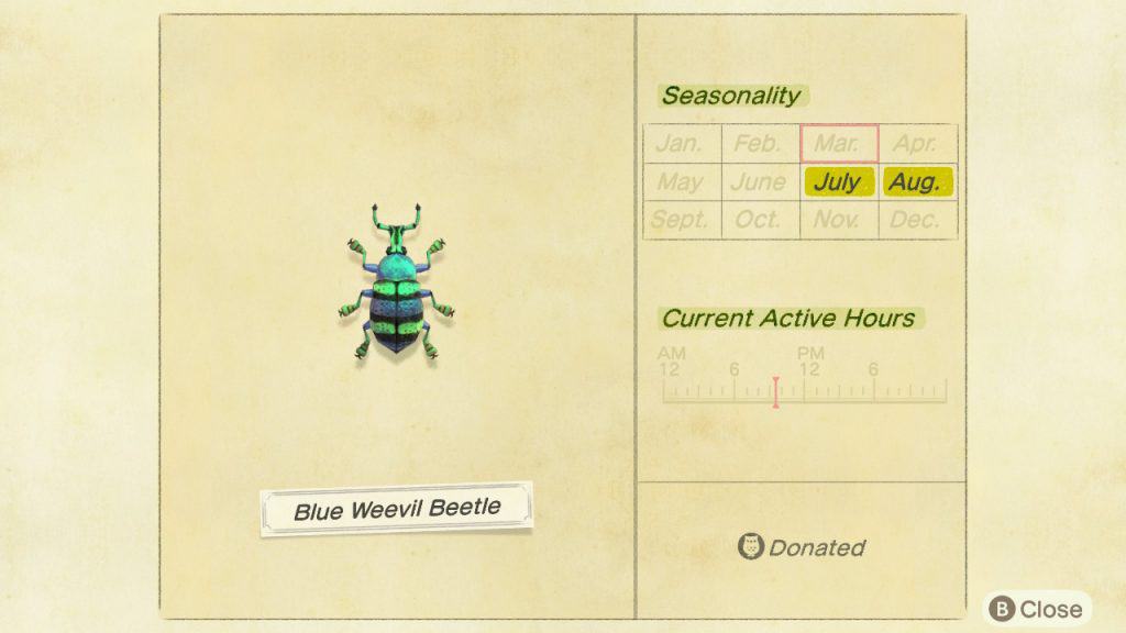 Blue weevil beetle Animal Crossing New Horizons ACNH