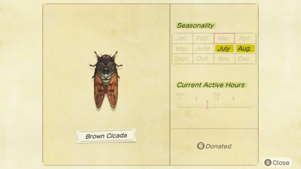 Brown cicada Animal Crossing New Horizons ACNH