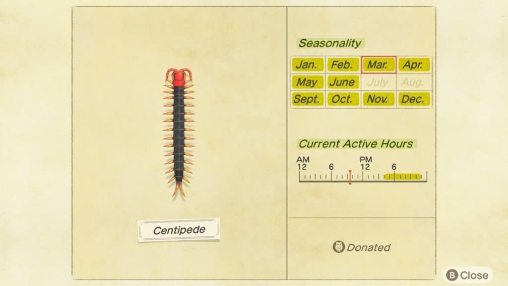 Centipede Animal Crossing New Horizons ACNH