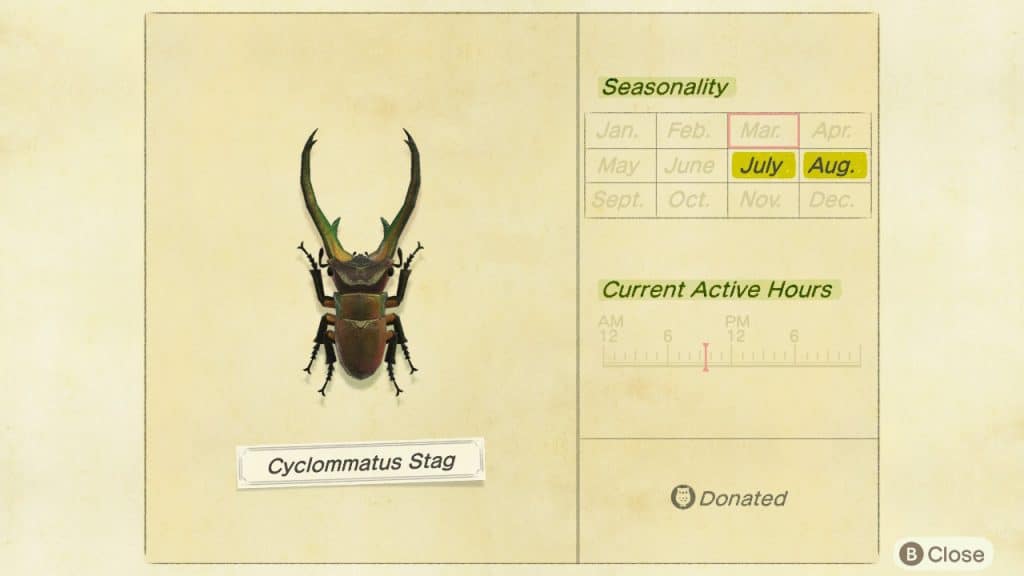 Cyclommatus stag Animal Crossing New Horizons ACNH