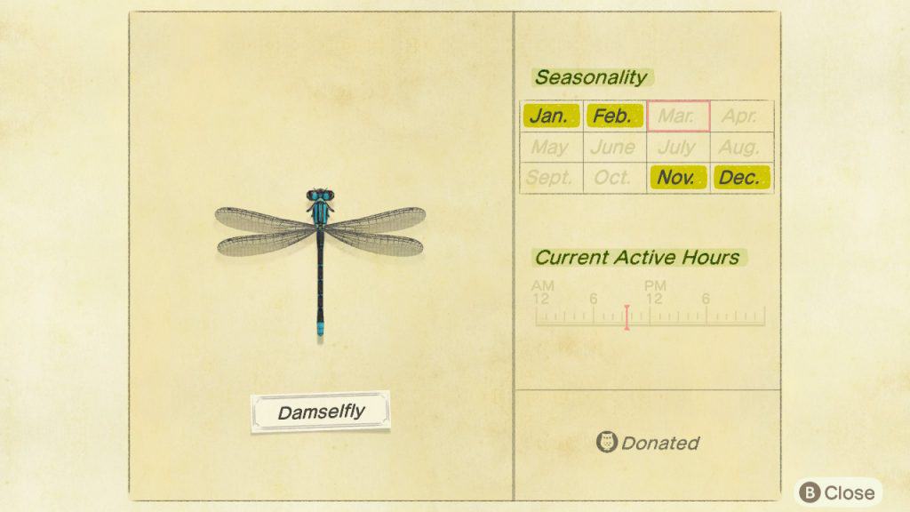 Damselfly Animal Crossing New Horizons ACNH