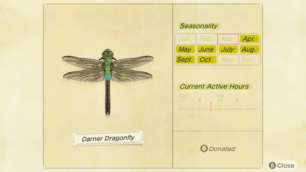 Darner dragonfly Animal Crossing New Horizons ACNH