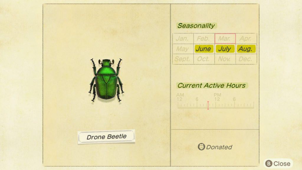 Drone beetle Animal Crossing New Horizons ACNH