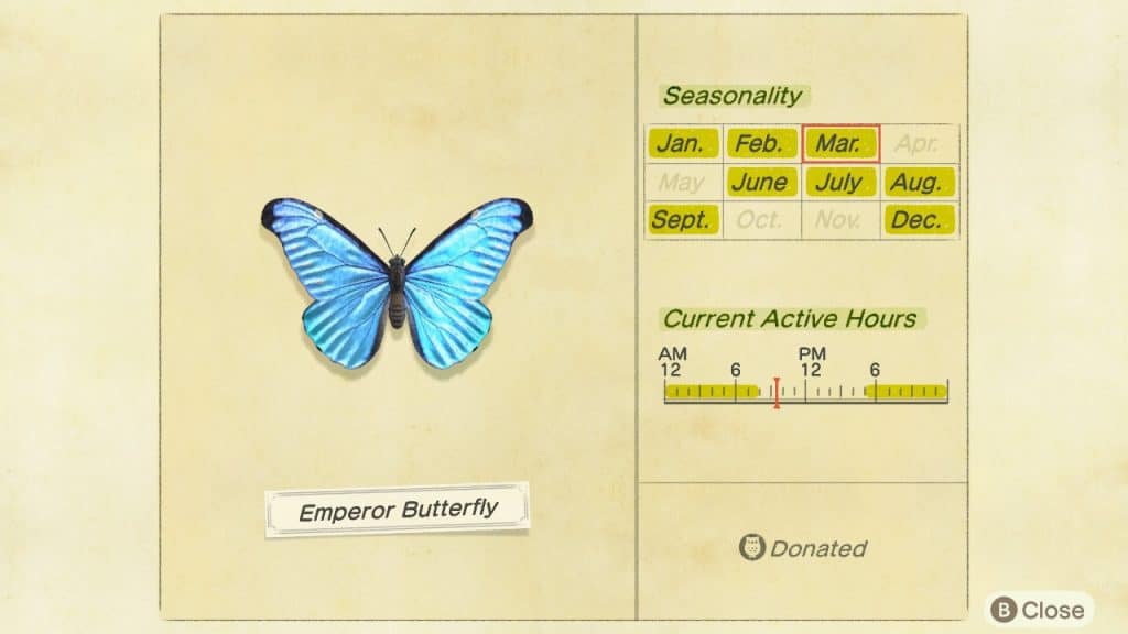 Emperor butterfly Animal Crossing New Horizons ACNH