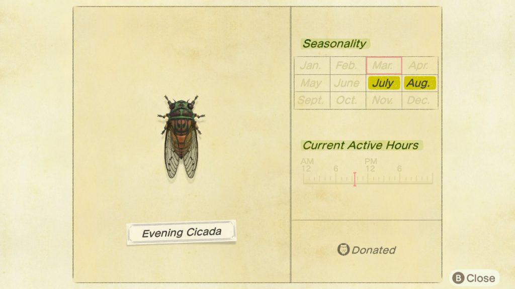 Evening cicada Animal Crossing New Horizons ACNH