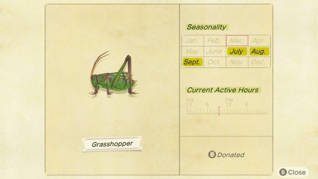 Grasshopper Animal Crossing New Horizons ACNH