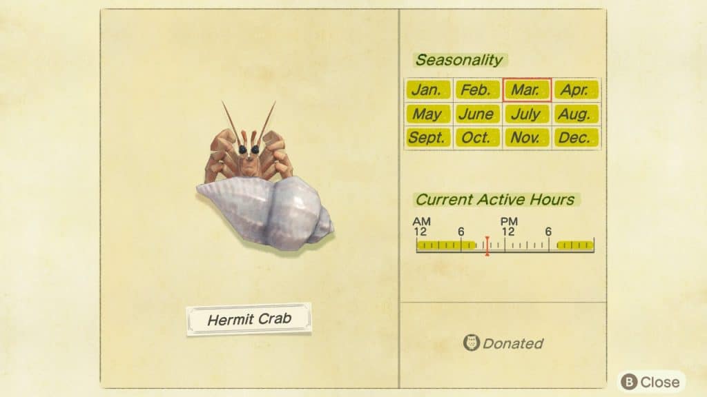 Hermit crab Animal Crossing New Horizons ACNH