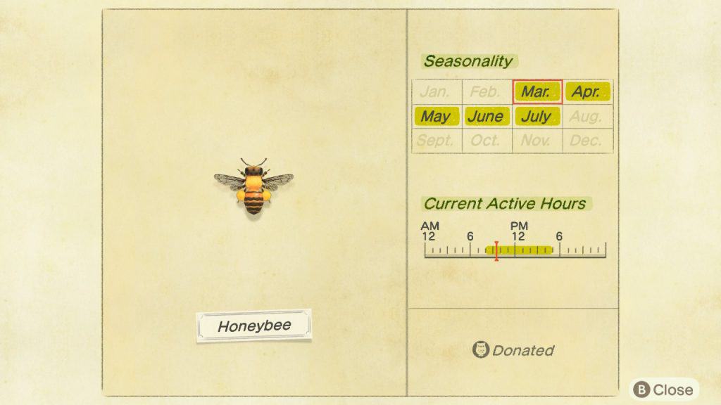 Honey bee Animal Crossing New Horizons ACNH