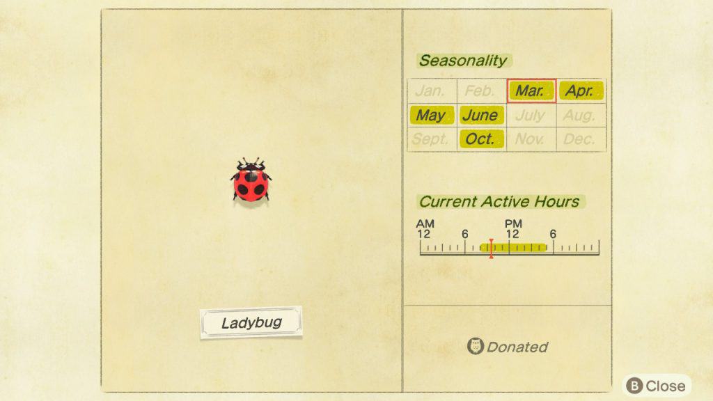 Lady bug Animal Crossing New Horizons ACNH