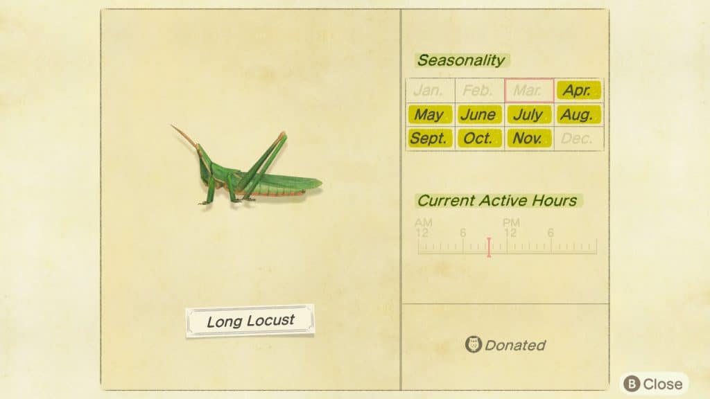 Long locust Animal Crossing New Horizons ACNH