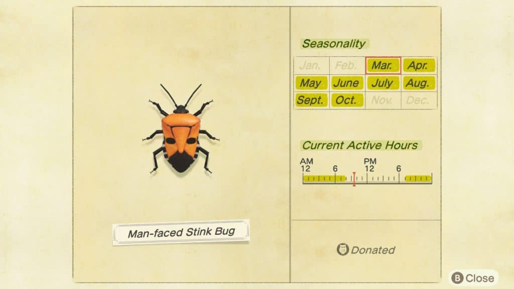 Man faced stink bug Animal Crossing New Horizons ACNH