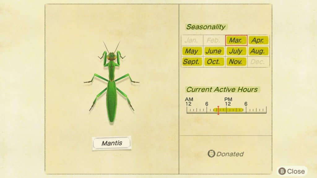 Mantis Animal Crossing New Horizons ACNH