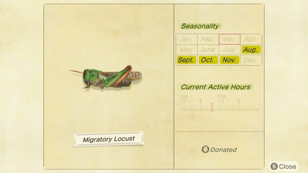 Migratory locust Animal Crossing New Horizons ACNH