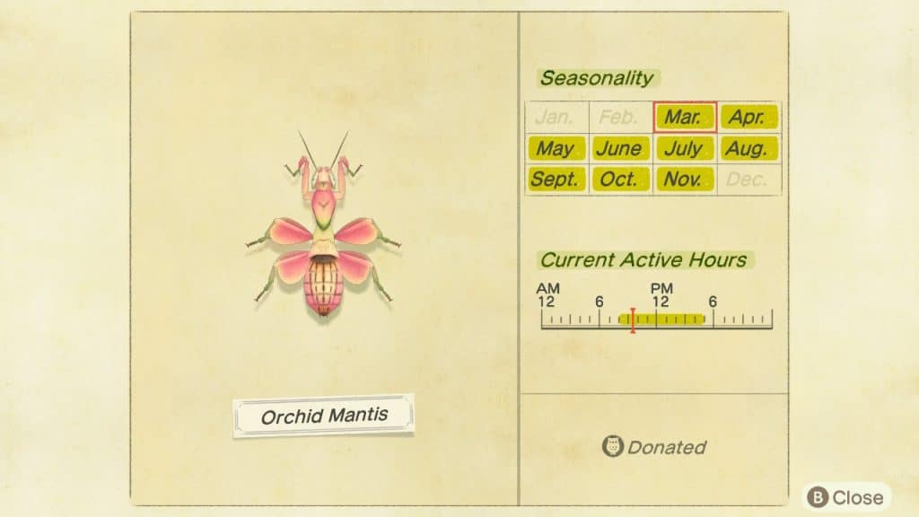 Orchid mantis Animal Crossing New Horizons ACNH