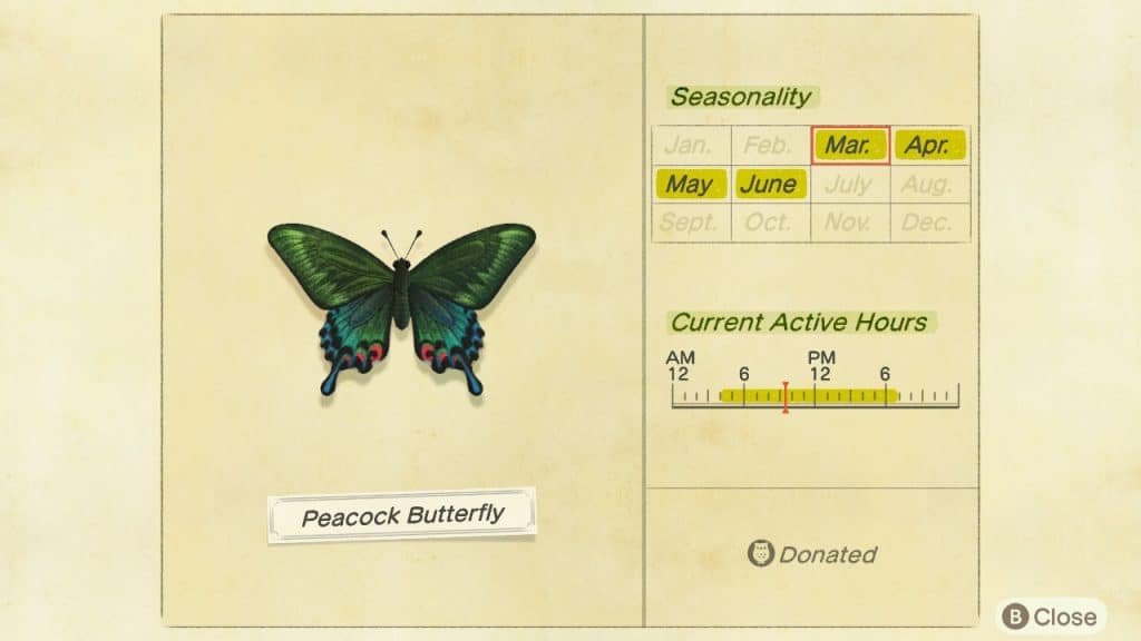 Peacock butterfly Animal Crossing New Horizons ACNH