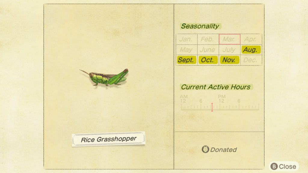 Rice grasshopper Animal Crossing New Horizons ACNH