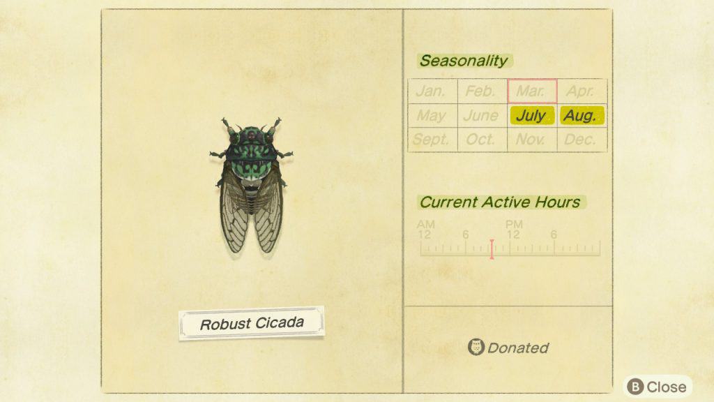 Robust cicada Animal Crossing New Horizons ACNH