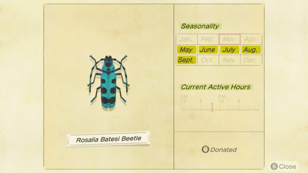 Rosalia batesi beetle Animal Crossing New Horizons ACNH