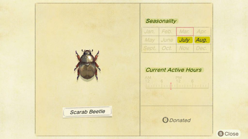 Scarab beetle Animal Crossing New Horizons ACNH