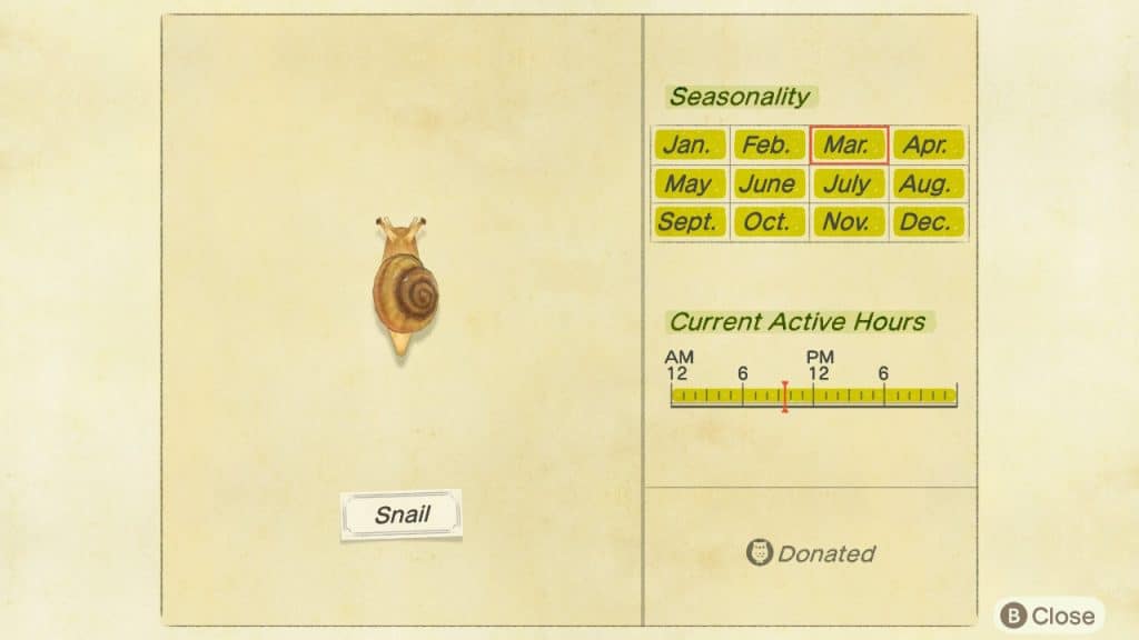 Snail Animal Crossing New Horizons ACNH