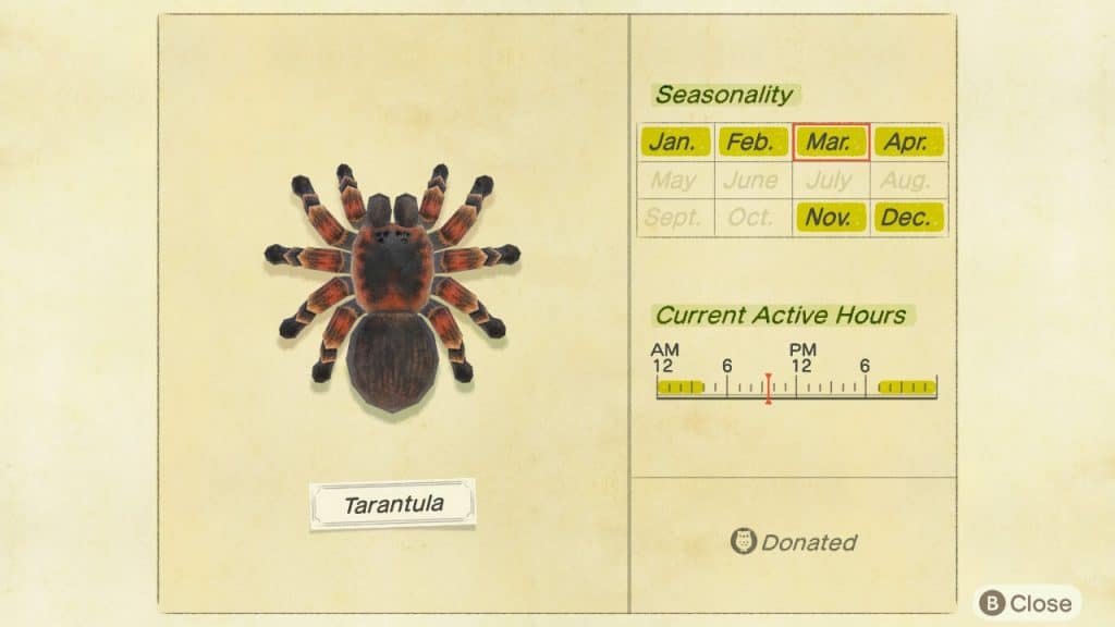 Tarantula Animal Crossing New Horizons ACNH