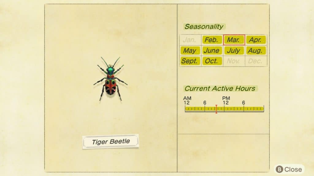 Tiger beetle Animal Crossing New Horizons ACNH