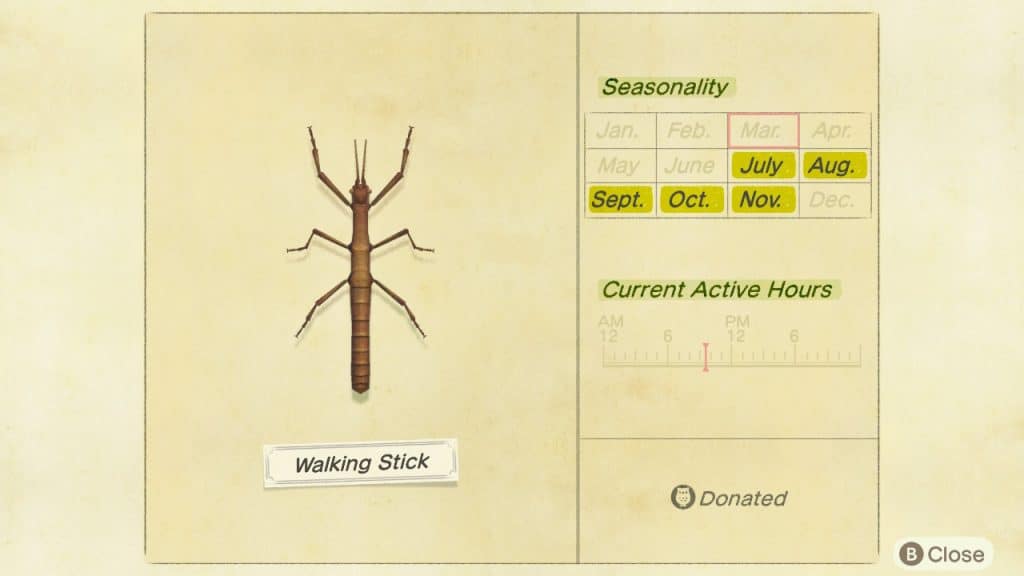 Walking stick Animal Crossing New Horizons ACNH